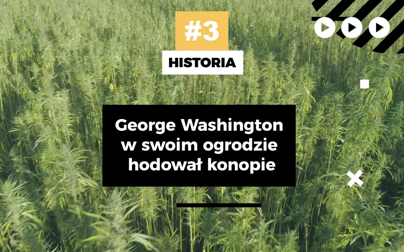Format „Historia” — social media