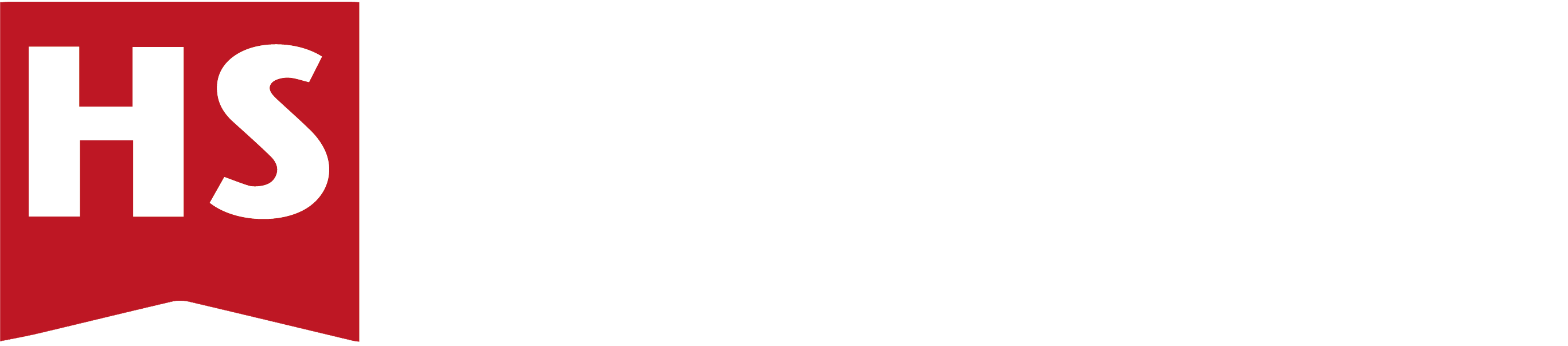 HS Concept